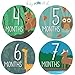 Baby Milestone Stickers by Baby Nest Designs - Set of 16 Baby Monthly Stickers. Cute Woodland Animals Each Month Stickers for Baby Boy and Baby Girl - Newborn Photography Props, Fun Baby Shower Gifts