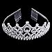 Thmyo Rhinestones Crystal Wedding Bridal Pageant Hair Jewelry Princess Tiara Crown Birthday Headband (Silver)