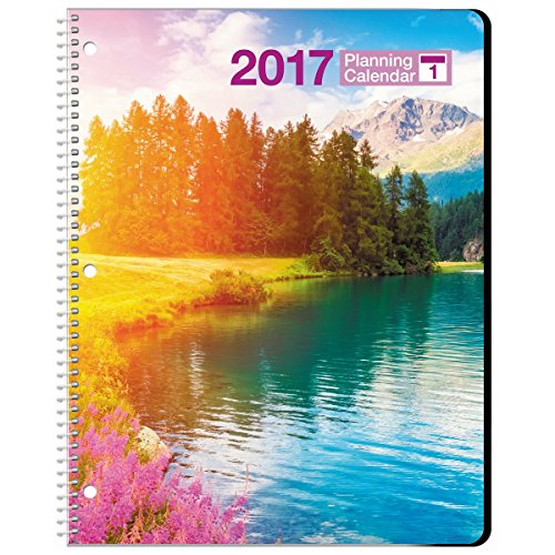 Daily Planner - 2017 Calendar Year