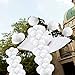(100 Pack)12 Inch Thicken Latex Balloons -white Balloons, Creative Balloons for Party Supplies and Decorations, Birthday Balloon Arch Supplies Events Christmas Party. Loritada