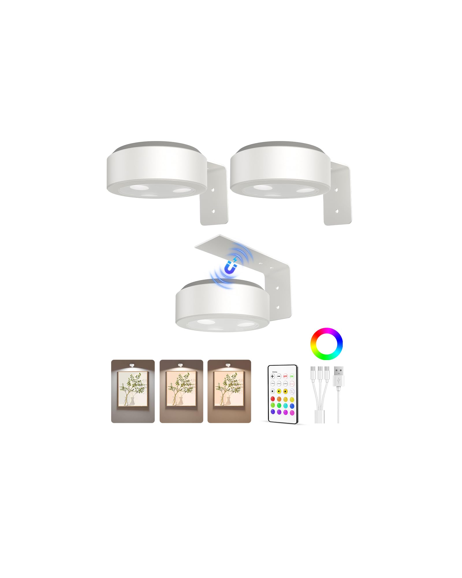 EZVALO Picture Lights for Wall, 2000mAh