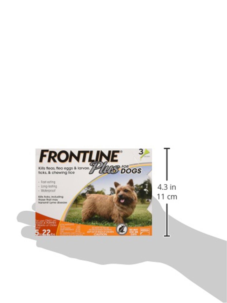 frontline plus petz