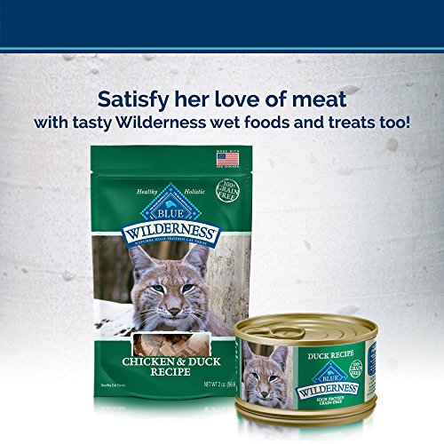 BLUE Wilderness Adult Grain Free Duck Dry Cat Food 11-lb