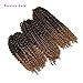 8 10 12 Inch 3pc/pack Kinky Curly Twist Crochet Braids Mali Bob Afro Crochet Hair Ombre Crochet Braiding Marleybob Jerry Curly Weaves 3Packs (T27)