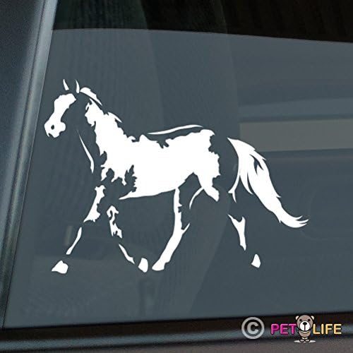 Paint Horse Sticker Vinyl Auto Window American