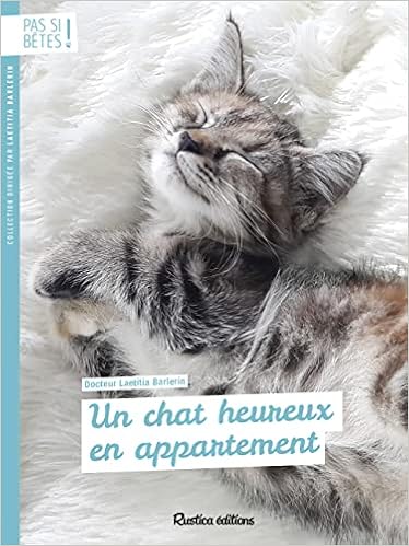 Amazon Fr Un Chat Heureux En Appartement Barlerin Laetitia Livres