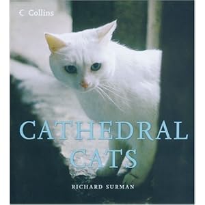 Cathedral Cats