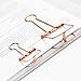 Wire Binder Clip, Assorted Size, 9 Clips in Box (Rose Gold) - HVS