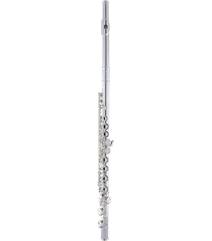Amazon.com: Yamaha YFL-262 Open-hole Student Flute : Musical