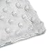 BORITAR Baby Blanket Soft Minky with Double Layer Dotted Backing, Lovely Grey Bear Printed 30 x 40 Inch, Receiving Blankets