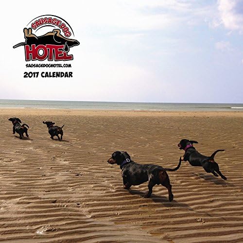 Sausage Dog Hotel 2017 Wall Calendar (Beach front cover)