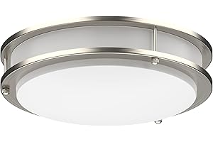 DYMOND 10 Inch LED Ceiling Light Flush Mount Dimmable Surface Mount Brushed Nickel Light Fixture for Kitchen, Hallway, Bathroom, Bedroom