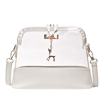 transparent cross bag