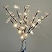Lighted Flowers White Rose Branches 20 Inches Tall Battery Operated Warm White 40 Led Decoration Floral Branch Crafts With Timer by Babali
