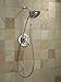 Delta 58065-SS In2Ition Two In One Shower Arm Mounted Shower