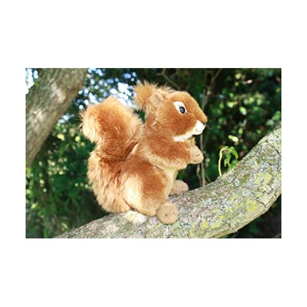 Eichhörnchen Plüschtier Stofftier Plüsch Kuscheltier – Bild 4
