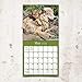 2020 Wolves Wall Calendar