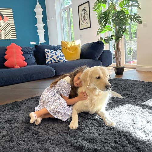 Homaxy Fluffy Shaggy Rugs Living Room, Large Anti Slip Carpet, Machine Washable Soft Thick Pile Bedside Rug for Kids Bedroom, Nursery - Dark Grey, 120 x 160 cm
