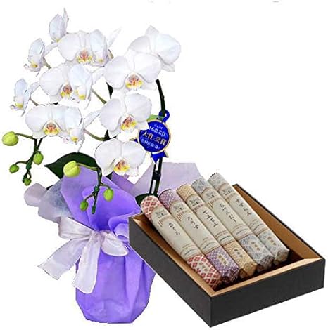 Amazon ミディ胡蝶蘭 お供え 花 線香セット 2本立 白色 鳩居堂 線香組合せ 花の香り ギフト 線香 オンライン通販