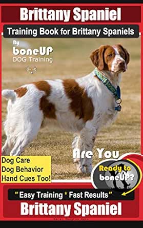 brittany spaniel training