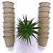 Seeds Starter Peat Pots, Pack of 16, Biodegradable, Perfect for Seeding Carrots, Parsnips, Squashes, Cucumbers, Radishes, Beets and Peas
