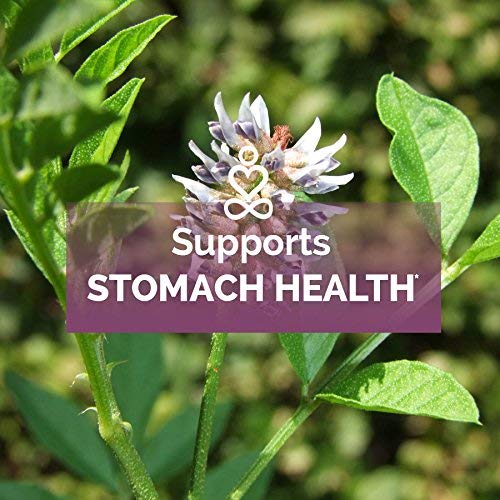 Licorice Root Powder Capsules by Ahana Nutrition Licorice Root