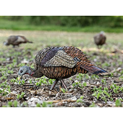 AVIANX LCD Feeder Hen Turkey Decoy Durable Realistic Lifelike