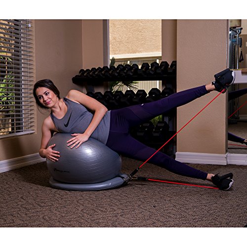 So Alpha Premium Exercise Ball with 15LB Resistance Bands, Stability Base, & Pump, 65 CM Fitness