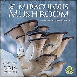 The Miraculous Mushroom 2019 Wall Calendar: With Fabulous Fungi Facts, by Amber Lotus Publishing