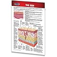 Permacharts Skin - Human Skin Guide - Pocket Size Chart - Medical Quick Reference Guide