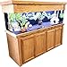 RJ ENTERPRISES Oak Groove 72″X24″ Honey 30″ Tall Aquarium Stand fits180/225 Gal & Oak Groove 72″X24″ Honey 10″ Tall Canopy fits180/225 Gal(Tank NOT Included)thumb 4
