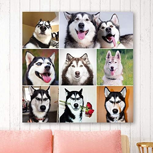 Animals Plants Collage Ideas Home Wall For Bedroom Living Room Oil