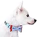 Blueberry Pet Gift Box with Pack of 2 Handmade Dog Cat Bow Tie, Polka Dots Designer Bowtie Set, 4