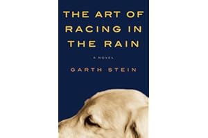 The Art of Racing in the Rain