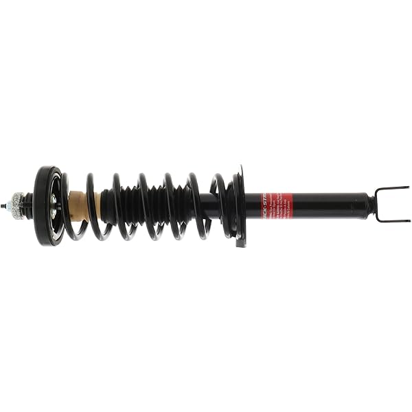 Amazon.com: Monroe Quick-Strut 171372 Suspension Strut and Coil 