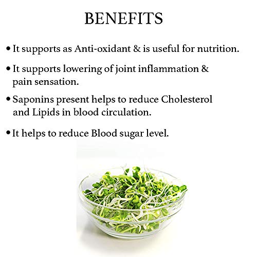 image for Alfalfa Powder (Medicago Sativa), | Supports Nutrition & Overall Well-