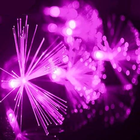Amazon.com: 33FT 100LED Fiber Optic Fairy String Lights ...