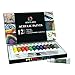 Acrylic paint Set 12 Colors by AEM Hi Arts - Includes 12 Tubes of Rich and Vibrant Non-toxic Paint, Extender and Brushes. Rich Pigments Lasting Quality For Beginners, Students & Professional Artists