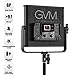 GVM 520 LED Video Light Dimmable Bi-Color Light Panel with Durable Metal U-Bracket Lighting for YouTube Studio Photography Video Shooting with Light Stand Kit (3200K-5600K, CRI 97+)