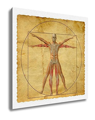 Ashley Canvas, Concept Or Conceptual Vitruvian Human Body Drawing On Old Paper, 32x32, AG6045664