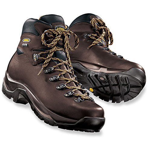 Asolo Mens TPS 520 GV Hiking Chestnut Leather Boot 9.5 M US