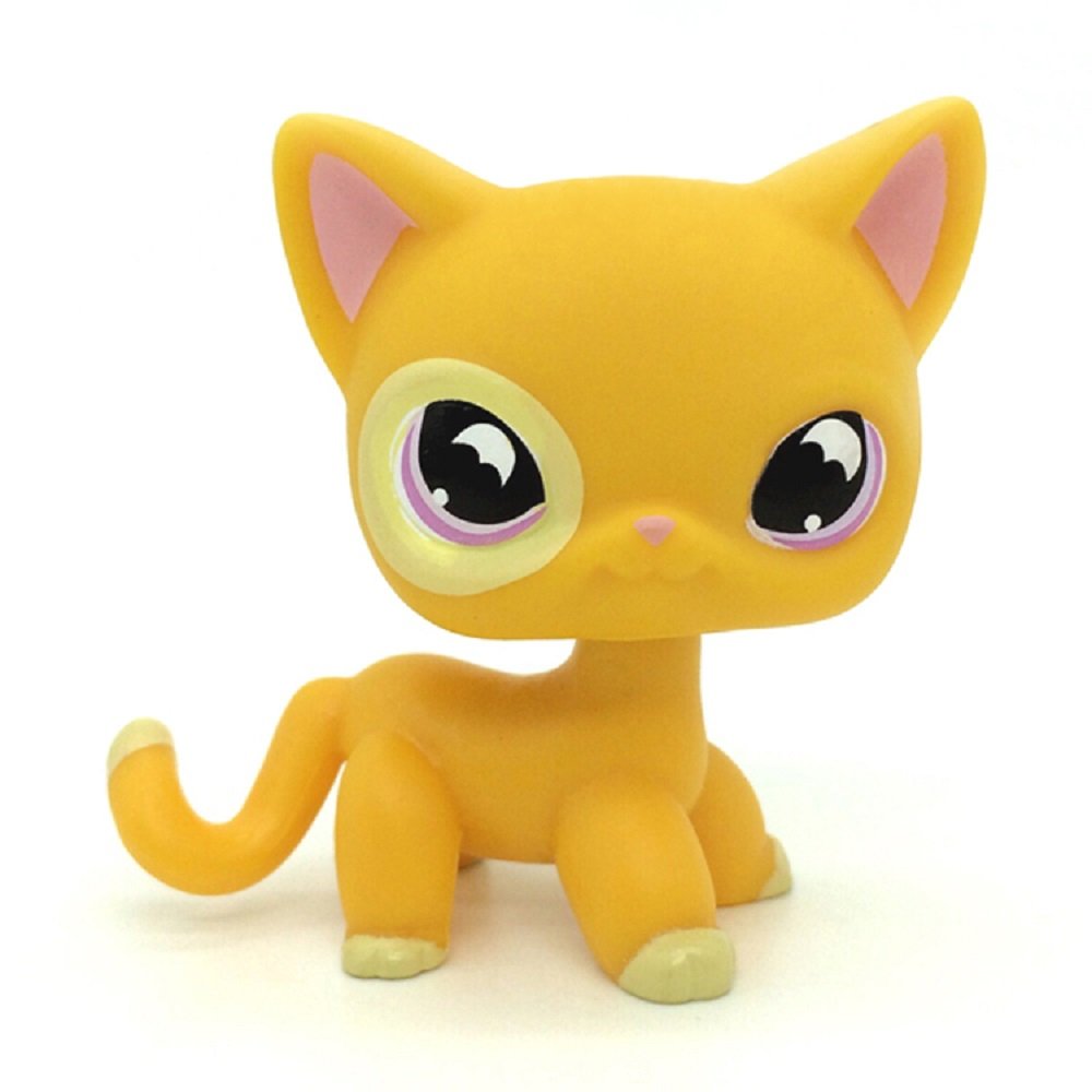 Dzh 855 Littlest Pet Shop Rare Yellow Orange Shorthair Cat Purple Moon Eyes Lps Buy Online In Cayman Islands At Cayman Desertcart Com Productid