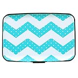 Vichline Aluminum RFID Blocking Slim Metal Wallet Credit Card Holder for Men Women (Blue Wave)