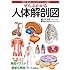 ぜんぶわかる人体解剖図―系統別・部位別にわかりやすくビジュアル解説