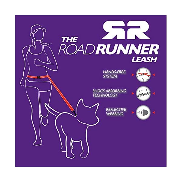 EzyDog Jogging Hundeleine für Kleine und Mittelgroße Hunde