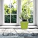 Window Garden Aquaphoric Self Watering Planter 5” and Fiber Soil, Foolproof Indoor Home Garden. Decorative Planter Pot for All Plants, Flowers, Herbs, Indoor Herb Planter