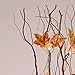 LIGHTSHARE 36 Inch 16LED Natural Lighted Willow Twig Branch, Maple Leaf, Built-in Timer, USB Plug-in and Battery Powered, Décor for Home, Festival, Party, Christmas, Night Light