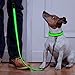 HIGO LED Dog Leash, USB Rechargeable Reflective Glowing Pet Leash, Reflective Light Up Dog Lead with Neoprene Padding Makes Your Pets Visible& Safe for Night Dog Walking (Green2, Led(47 inch))
