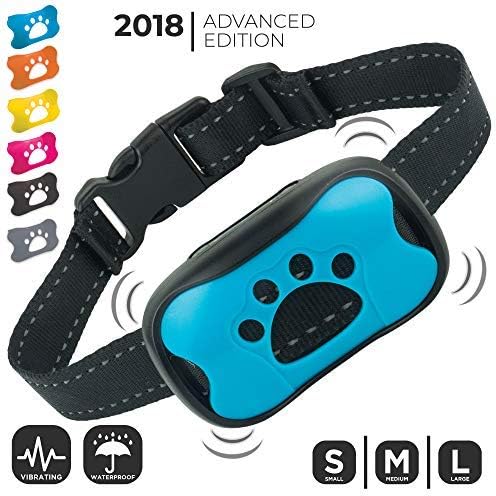 cute puppies doing funny stuff