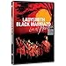 Ladysmith Black Mambazo: Live at Montreux